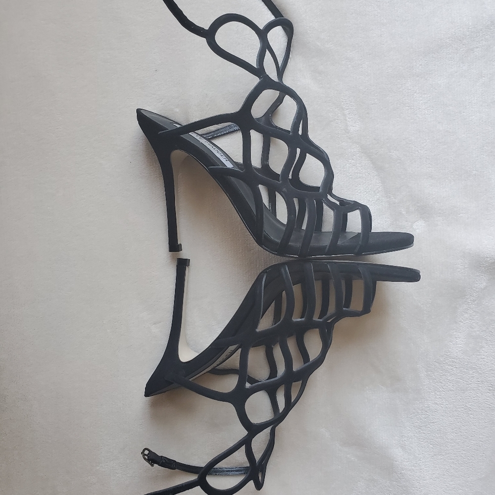 Steve Madden suede cage heels